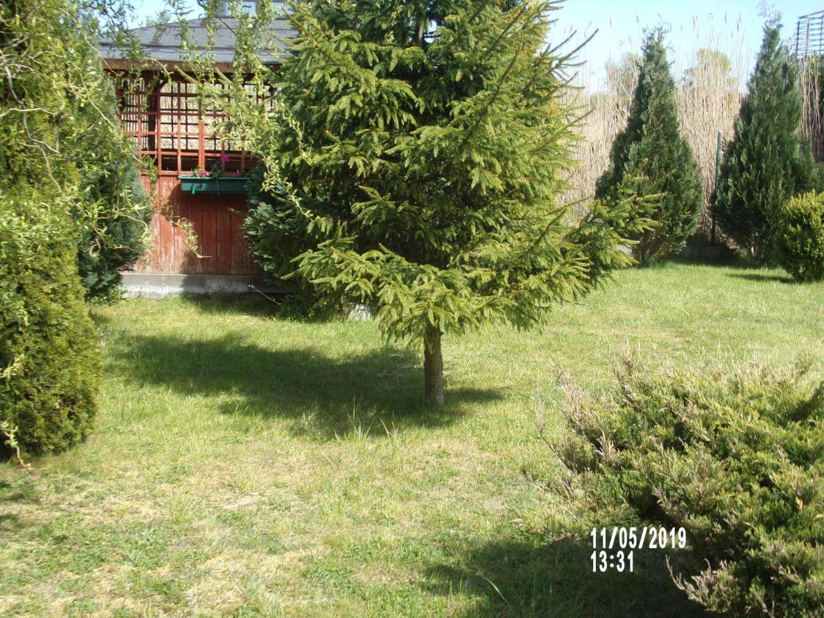 Villa Iwona Grzybowo  Extérieur photo